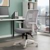 Tokyo Beyaz Plastik Ayaklı Çalışma Ve Ofis Koltuğu (Açık Gri File)