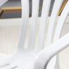 Palmiye plastik sandalye (beyaz)