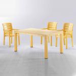 90x150 Plastik Masa Sandalye Takımı Sarı