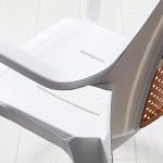Lodos Kollu Plastik Sandalye Beyaz