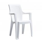 Foça Kollu Plastik Sandalye Beyaz