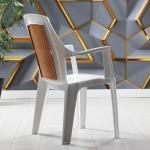 Lodos Kollu Plastik Sandalye Beyaz