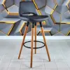 Rasko Bar Stool with Fixed Legs (Dark Grey Leather)