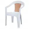 Grand Plastic Chair with Arms White
