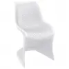 Bloom White